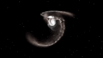 Universe Webb GIF by NASA