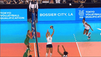 Usa Smash GIF by Volleyball World