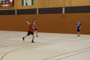 HSGLiGra GIF