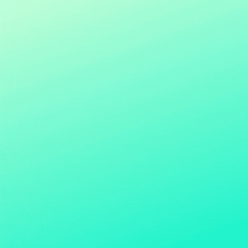 Top One Academia GIF