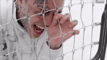 fence stop the madness GIF by Lil Skies