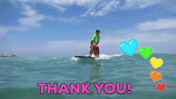 surf dog ricochet thank you GIF