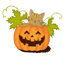 Cat Halloween Sticker