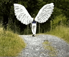 200.gif?cid=fc005b0803f5c9a080ba31ad586878916434c89e9faca66e&rid=200.gif&ct=g