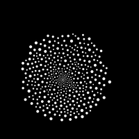 Grow Black And White GIF by xponentialdesign