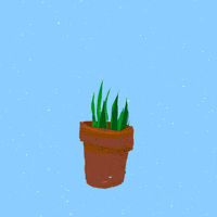 Plant Life Plants GIF by adobetrisha