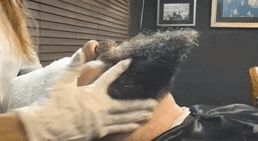 200.gif?cid=fc005b08ed2dc46a747a9ced35d1d3b8ec464ff745300176&rid=200.gif&ct=g
