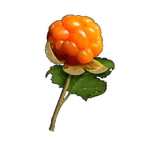 Beauty Cleansing Sticker by Eleni & Chris