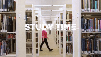 Study Library GIF by Webster University