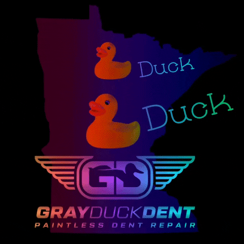 GrayDuckDent duck minnesota mn pdr GIF