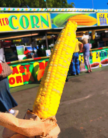 okstatefair food ok oklahoma corn GIF