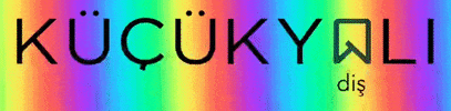 kucukyali GIF