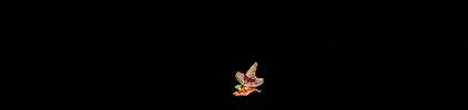 ballingbrands GIF