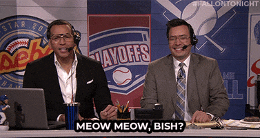 Jimmy Fallon Cat GIF by The Tonight Show Starring Jimmy Fallon