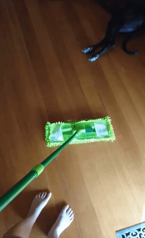 House Cleaning GIF - Find & Share on GIPHY