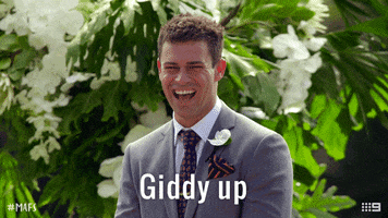 Channel 9 Horse GIF by Married At First Sight Australia
