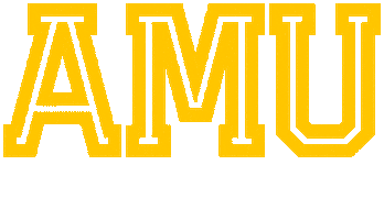 American Military University Sticker