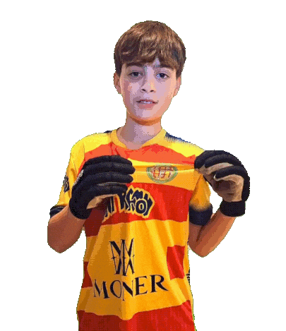 Hockey Burgos Sticker by Club Patí Sant Ramon