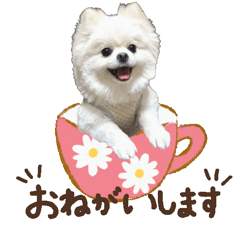 パルレオ Sticker