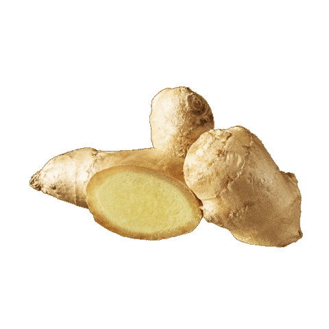 Ginger Sticker by orlenunipetrol