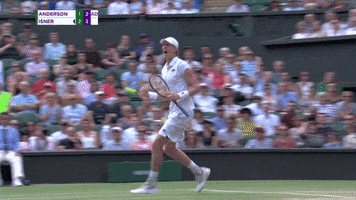 excited come on GIF by Wimbledon