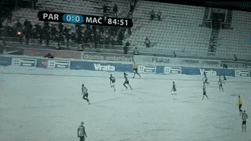 partizan GIF by nss sports