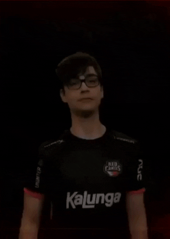 mvp rufus GIF by Red Canids