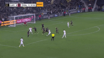 soccer goal GIF by nss sports