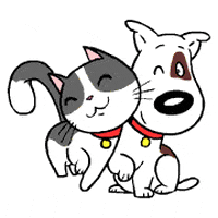 Dogs Perros GIF by Chinno