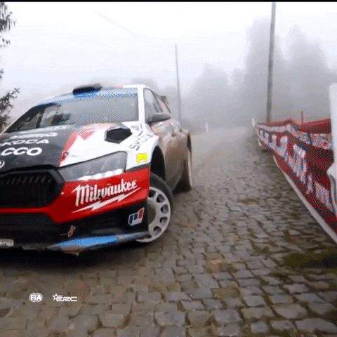 No Way Stop GIF by FIA European Rally Championship