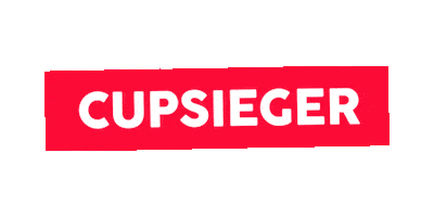 Soccer Bundesliga Sticker by Linz News