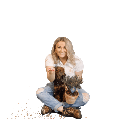 Olijfboompie Sticker