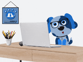 Cat Working GIF by SAFE Inc