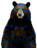 Carte Interactive des membres du Forum 200.gif?cid=af3708f3c52smnly10n0y4iigt1yzvst2qaqabhe6498nmx5&rid=200