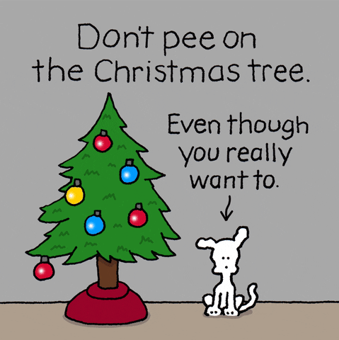 Christmas Tree GIF by Chippy the Dog