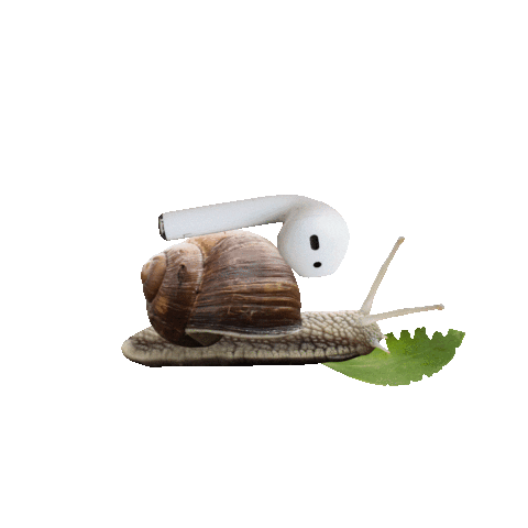 de Tuinbroekies Sticker