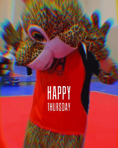 JVA GIF