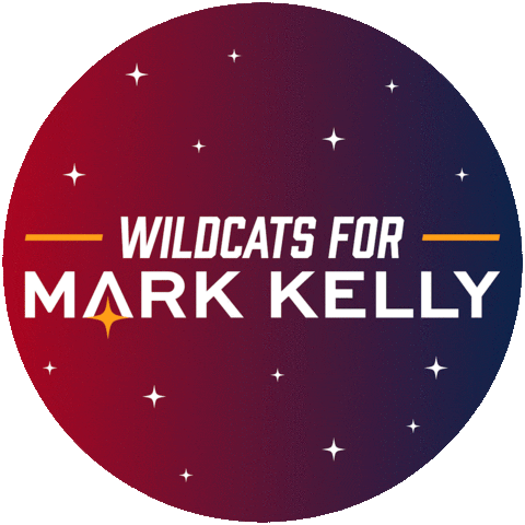 Vote Election Sticker by Captain Mark Kelly