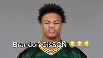 Green Bay Packers GIF