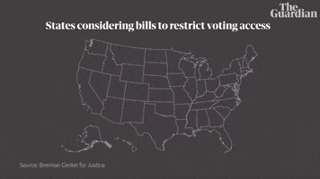 Voting Rights GIF by guardian