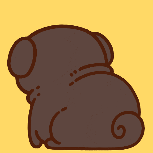 Shock Say What GIF by Puglie Pug