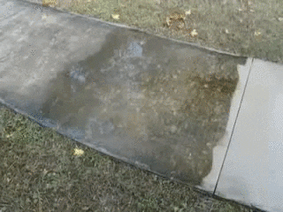 https://media0.giphy.com/media/fhweqMzjn8lJS/giphy.gif?response_id=59245f47b22c5681aeffd16b