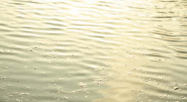 Water GIF