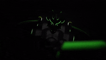 Green Dragons Airsports GIF