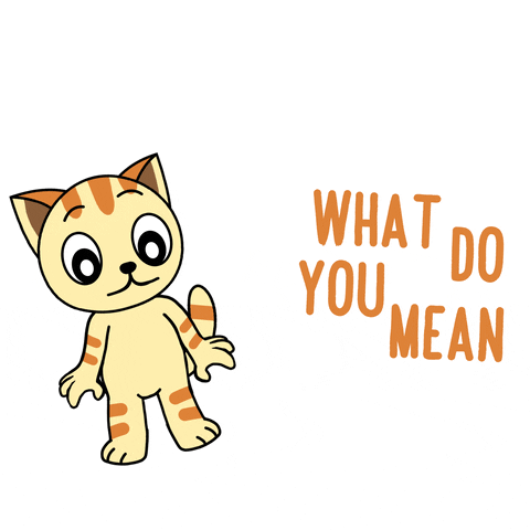 Cat What GIF by GoodMorningCat