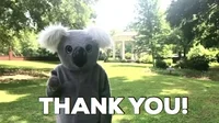 koala thank you GIF by Columbia College
