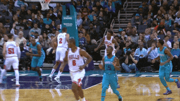 all star dancing GIF by Charlotte Hornets