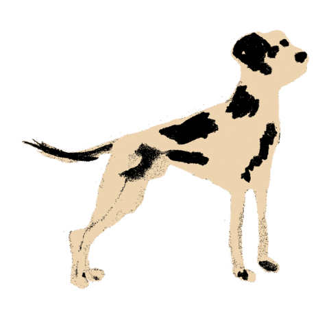 Dog Puppy Sticker by Anthropologie