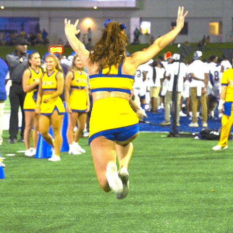 Sport Cheerleading GIF by McNeese State University