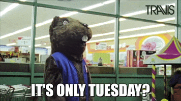 Video gif. A person in a beaver mascot costume stands in front of a grocery store at night. They turn slowly and stare at the camera with its creepy, lifeless eyes. The text says, “It’s only tuesday?”